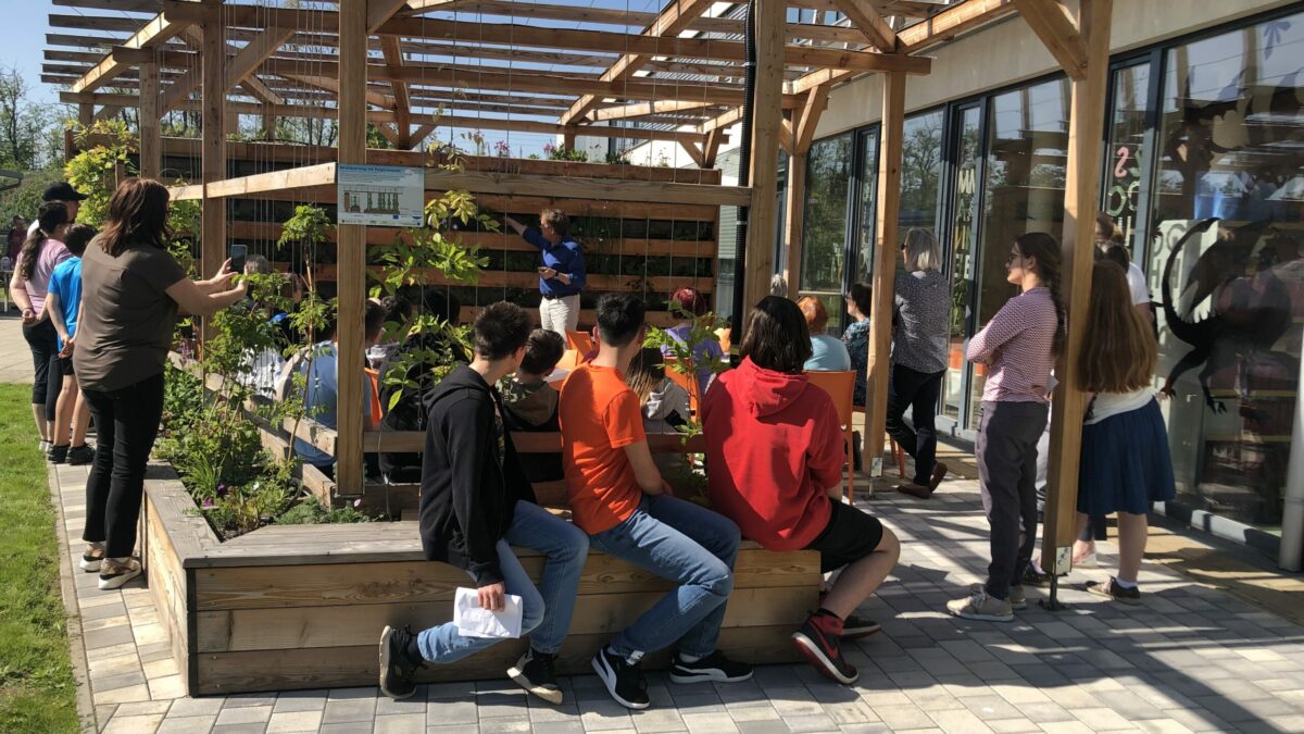 Schülerinnen und Schüler unter der neuen Pergola der EMS Strasshof.