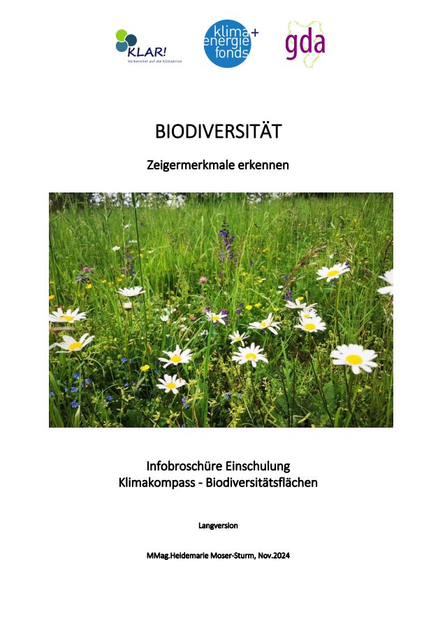 Cover zur Broschüre Einschulung Klimakompass - Biodiversitätsflächen mit einem Wiesenbild mit vielen Margeriten