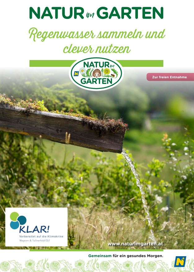 Regenwasser sammeln und clever nutzen - Klimafit